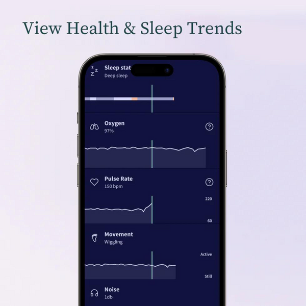 NEW Dream Sock ™ + Cam® 2 Bundle