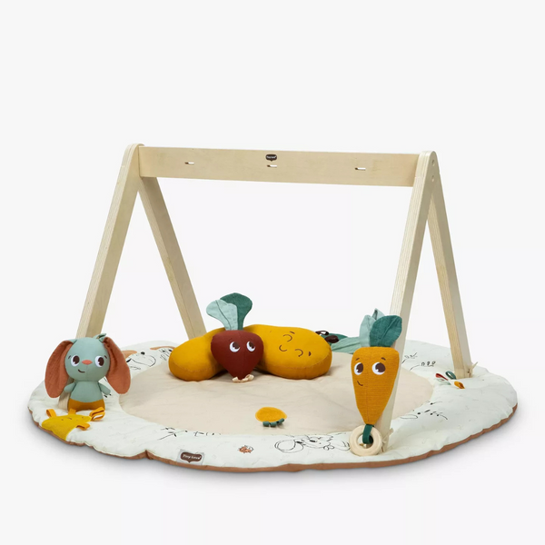 Tiny Love Garden of Adventure Luxe Play Gym