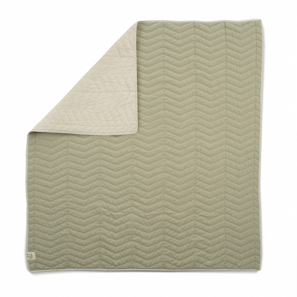 Mamas and Papas Born to Be Wild Bundle