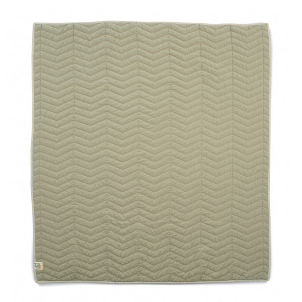 Mamas and Papas Born to Be Wild - Quilt