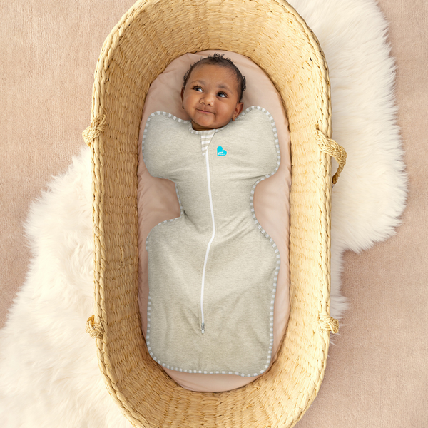 Love to Dream Swaddle Up Sand Dollar