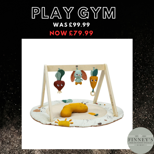 Black November - Tiny Love Garden of Adventure Luxe Play Gym