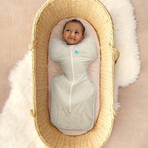Love to Dream Swaddle Up Sand Dollar