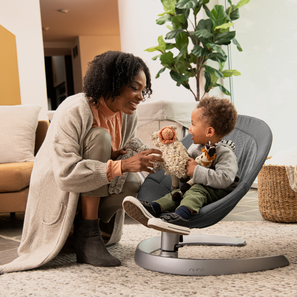 Nuna hot sale bouncer chair